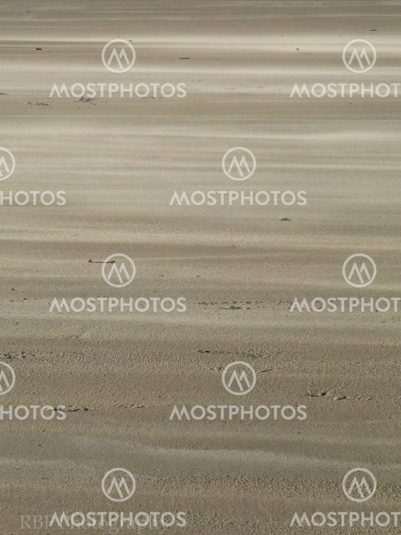 Windswept beach