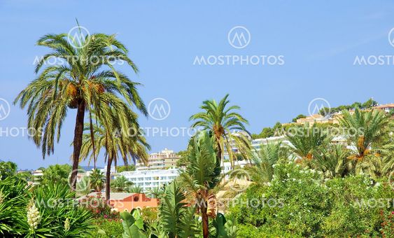 Mallorca Santa Ponca City