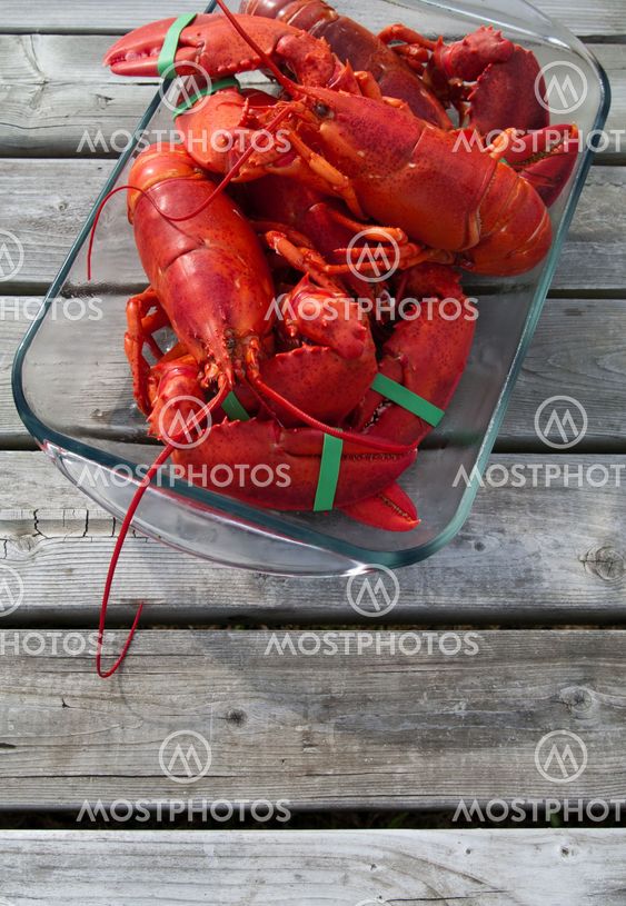 Cooked Lobster