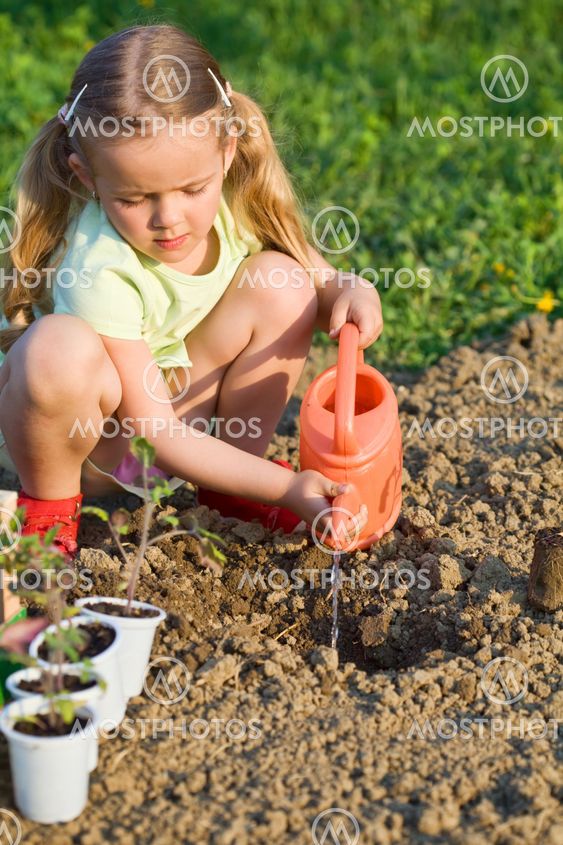 Little girl planting tomato seedlings