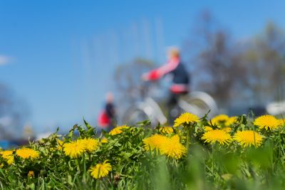 Blurred unrecognizable children walking in park, ride...