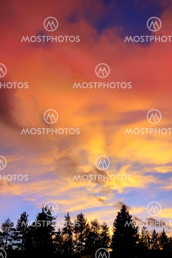Red Clouds at Sunset Above Trees on the Lake Tahoe California