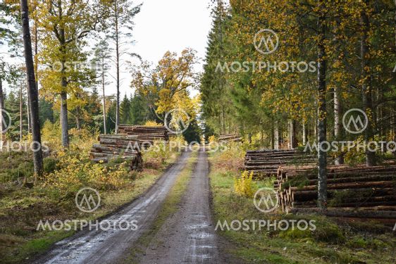 Höst i Ekopark Hornsö i Småland