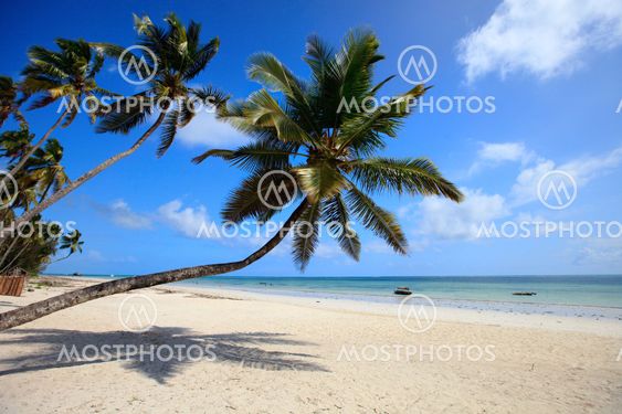 Tropical beach