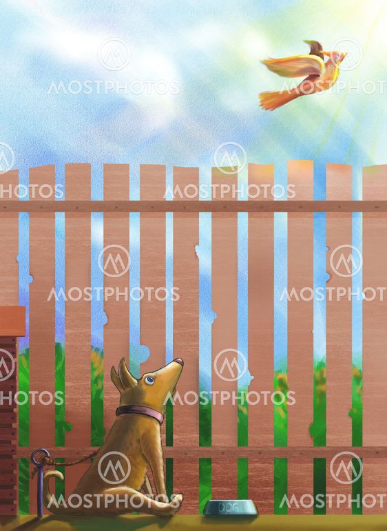 A tethered dog, sitting before a bowl of food and looking surprisely at a freedomly flying bird