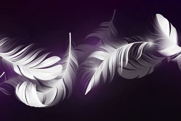 3D falling feathers on deep purple background.
