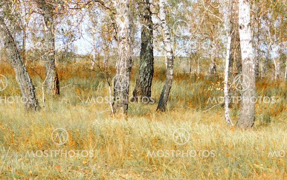 Nature Altaya