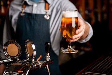 Beer friday evening. Barman gives glass of light beer...