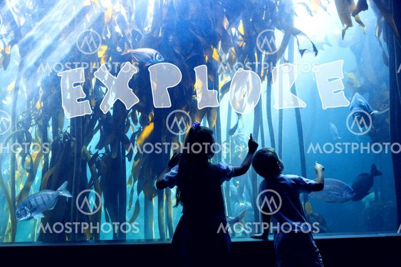 Composite image of explore