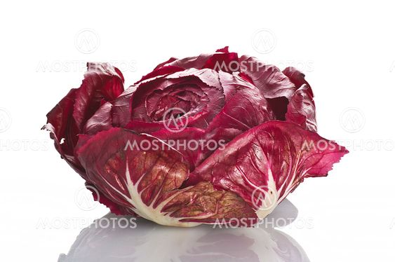 Red salad on the white