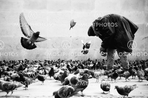 poor man in Paris feeding pigeons
