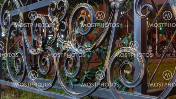 Fragment of a metal garden grate.