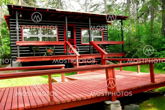 Forest cottage