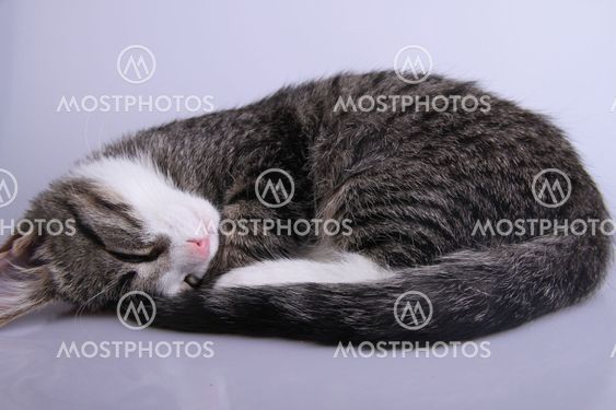 Sleeping beauty