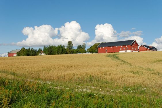 Norske Farm