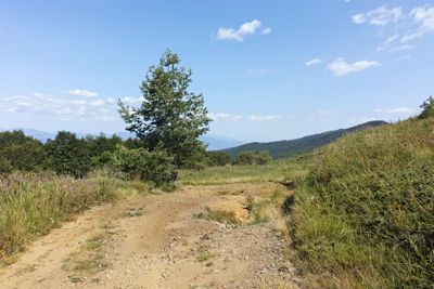 Summer landscape of Belasitsa Mountain, Bulgaria