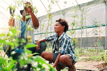 Gardening, father and son with vegetables, harvest and...
