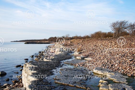 White Cliffs at the coast