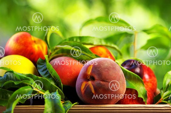Peach and various fruits
