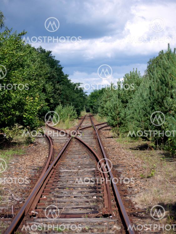 Rails and switches