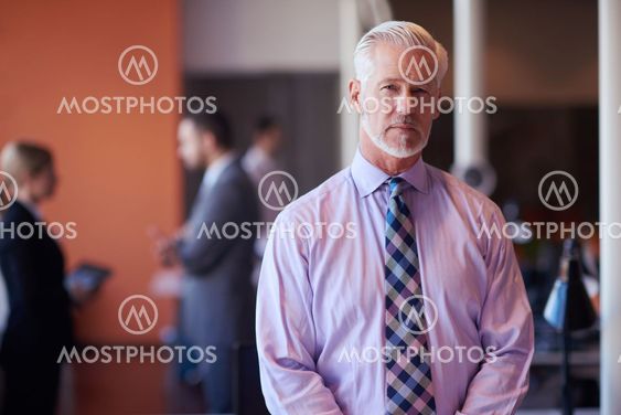 senior business man with his team at office