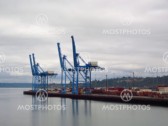 Shipping Terminal