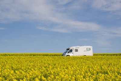 Husbil i blommande rapsfält