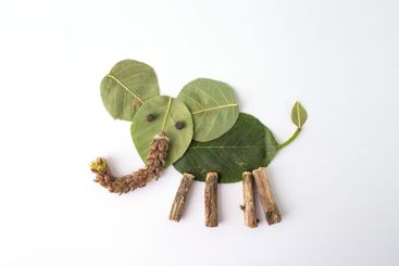 Craft project with natural elements: leaves, twigs, seed...
