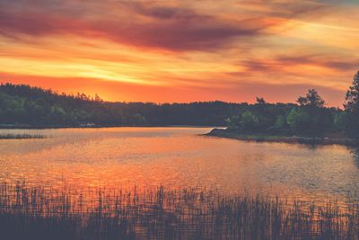 Vivid golden sunset in the archipelago of Scandinavia....