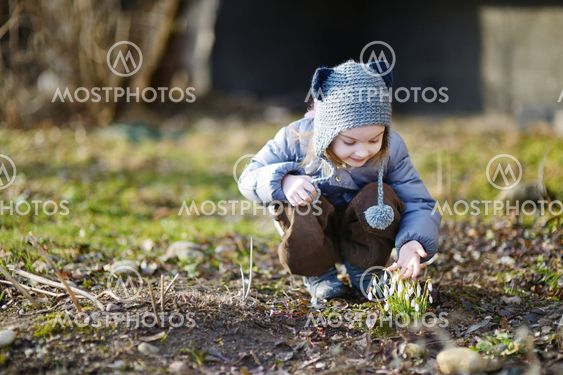 Little toddler girl touching snowdrops