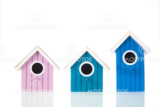 Colorful bird boxes