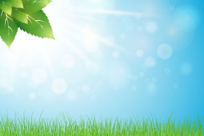 Light spring background with bokeh and young nature....