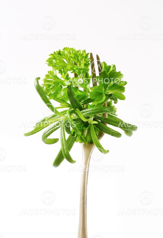 Fresh parsley and rosemary