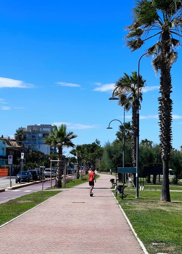 Young person skateboarding along palm tree lined...