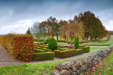 Trees, garden design and autumn season with cloudy sky...