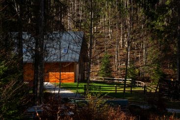 Wooden cabin surrounded by forest in autumn sunlight,...