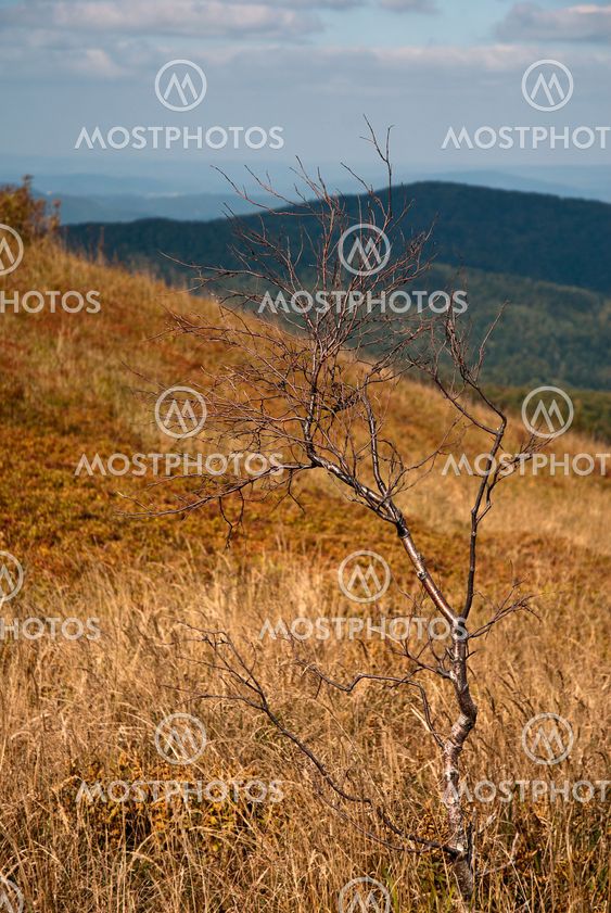 Bieszczady