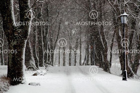 Winter road