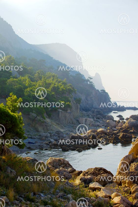 Coastal Landscape