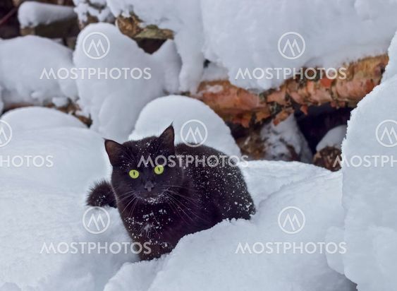 Winter landscape with a lot of snow and sunshine in...