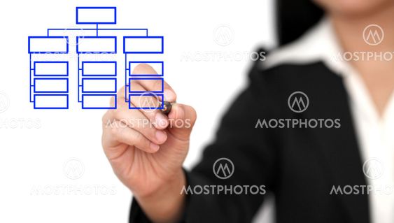 drawing business organization chart