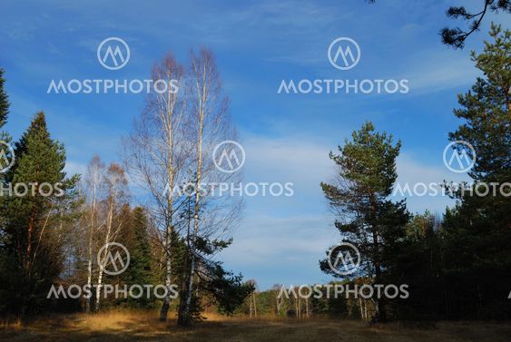 Autumn in countryside