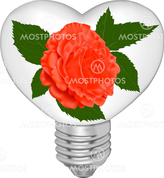 Bulb in the form of heart and in it a red rose