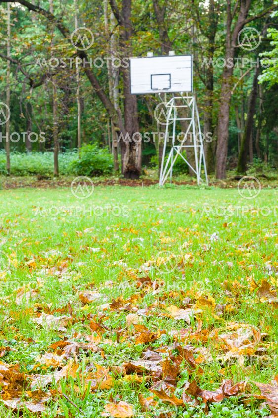 Abandoned street basketball hoop with autumnal foreground