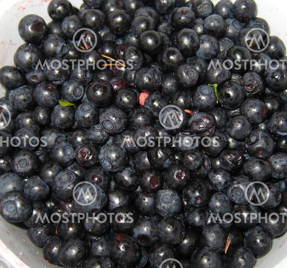 Blueberries