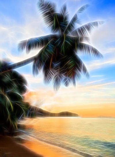 Palm on a tropical beach at sunset. Afterglow fantasy...