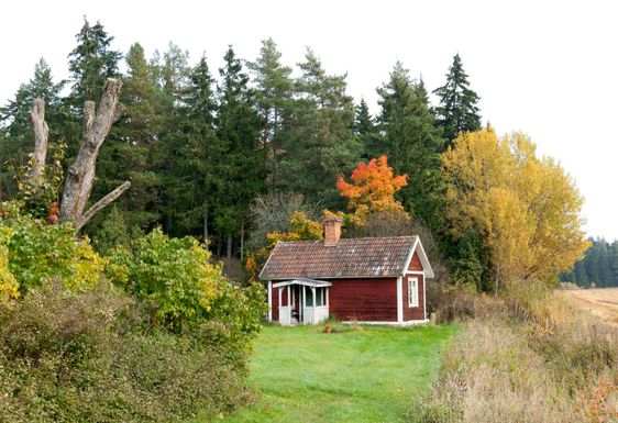 Life in the country, Falu red paint.