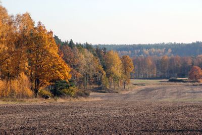 Landscape of autumn in Överenhörna Södermanland