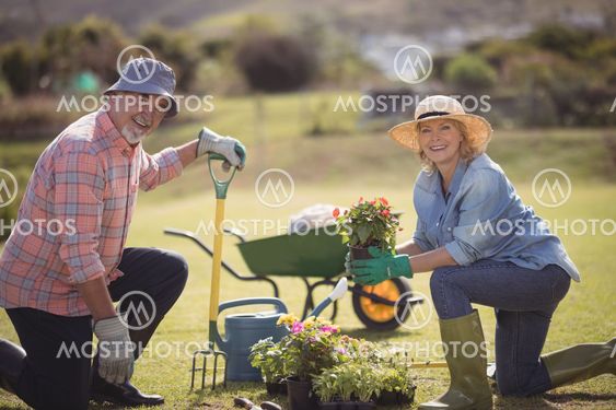 Smiling senior couple holding plant sapling while gardening