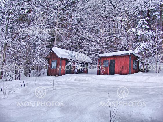 winter
